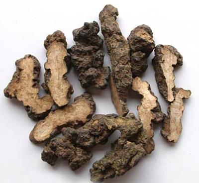 Polyporus Umbellatus Extract