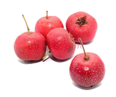 Hawthorn Extract