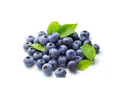 Bilberry Extract