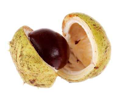 Horse Chesnut Extract