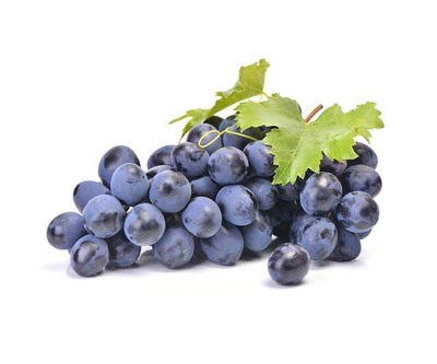Grape Seed Extract