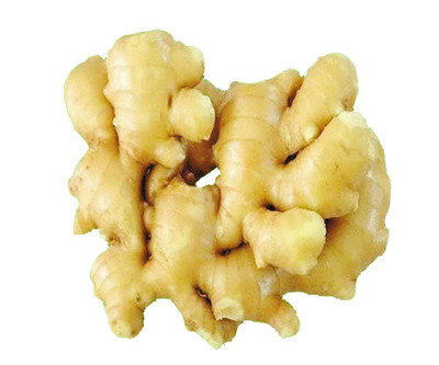 Ginger Extract