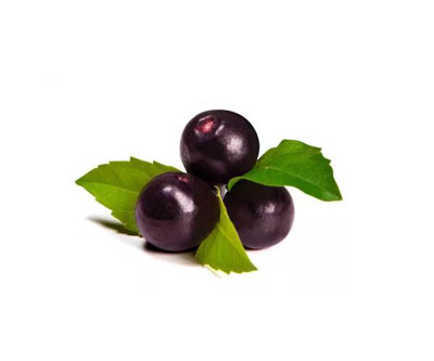 Acai Berry Extract